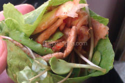 韩式泡菜鲜蔬肉卷