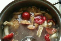 养颜排骨红菌子汤