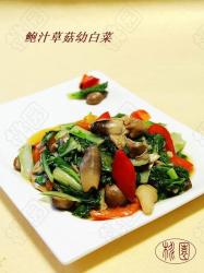 鲍汁草菇幼白菜