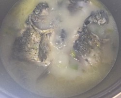 鲫鱼炖汤