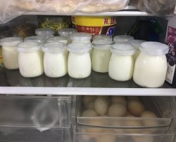 菌丝生活酸奶发酵剂