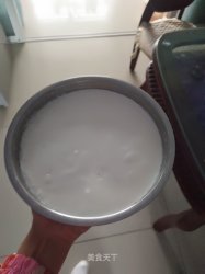 自制营养酸奶