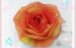 西红柿花（可以吃的玫瑰花）