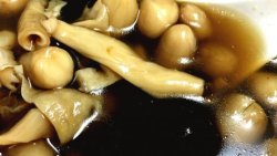 下奶月子餐：红枣花生炖花胶（鱼胶）
