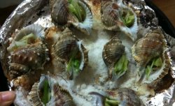 烤海螺