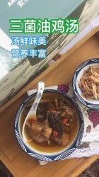 三菌油鸡汤