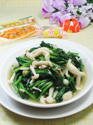 菠菜菇