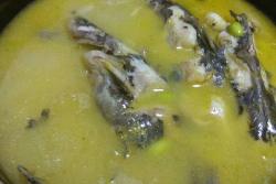 黄颡鱼毛豆汤