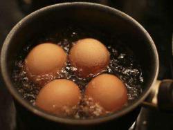 清水煮鸡蛋一些小心机