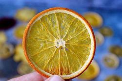 水果干—EAT风炉