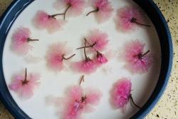 独家樱花酸奶慕斯蛋糕