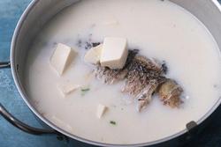 鲫鱼豆腐汤
