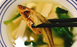 减脂青菜菌菇豆腐汤