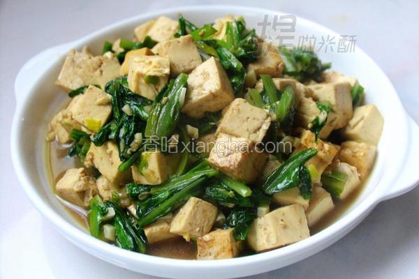 豆腐油麦菜