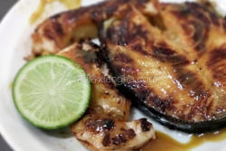 烹饪蜂蜜味噌鲑鱼