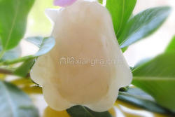 水晶皮冻