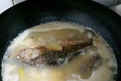海参鲫鱼汤