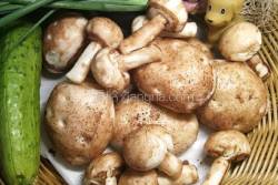 脏脏土豆馒头和香菇蘑菇馒头