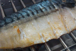 烤箱食谱