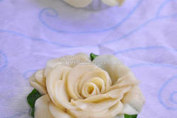 白玫瑰蘑菇