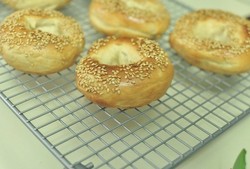 蒙特利尔贝果 Montreal Style Bagels