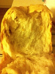 面包机版橙皮中种白土司