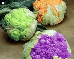 肉松花菜