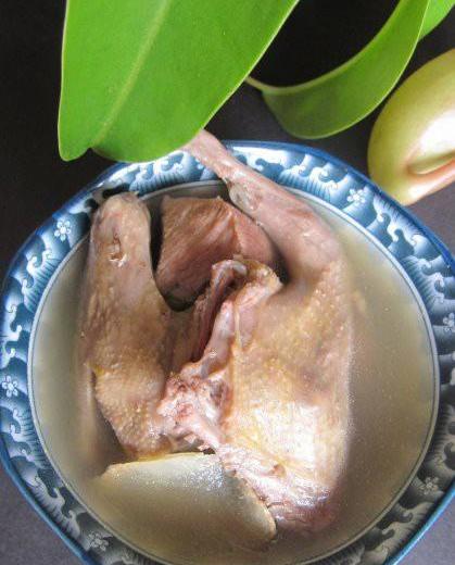 绿豆乳鸽汤