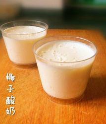 自制酸奶——椰子酸奶