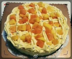 芒果奶油芝士蛋糕