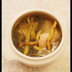 石斛灵芝炖鸡汤