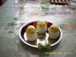 快乐的小鸡