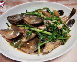 醬油水小斑魚