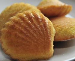 玛德莲娜Madeleines