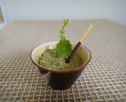 绿茶布丁盆栽
