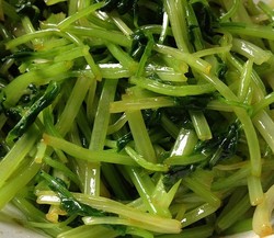 清爽的拌芹菜【取名无能