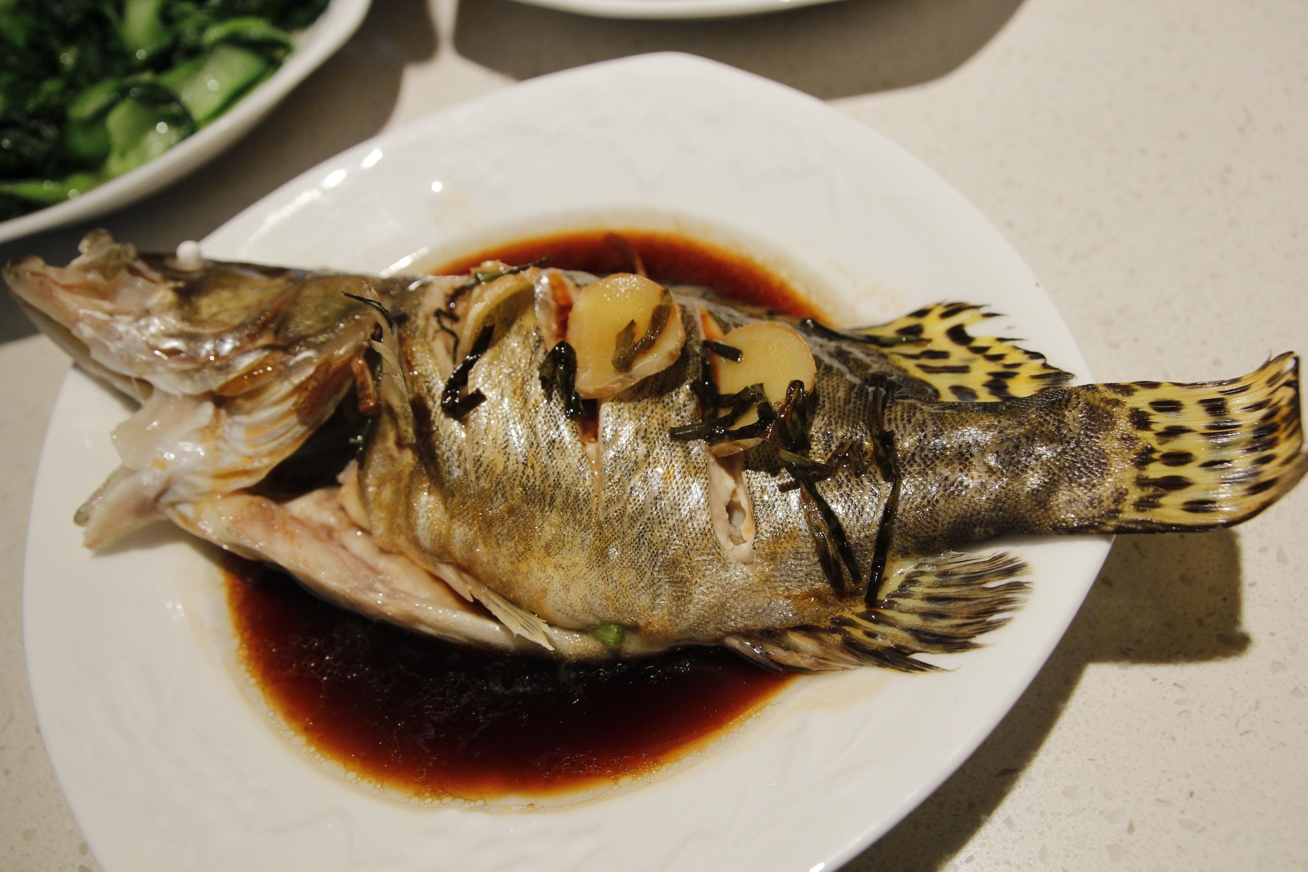 葱油淋桂鱼