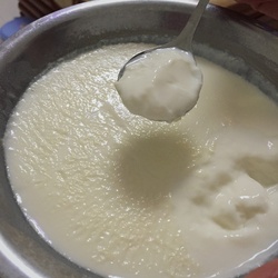 双皮奶