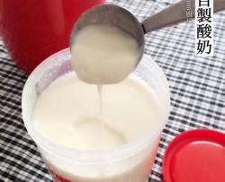 用普通牛奶自制酸奶