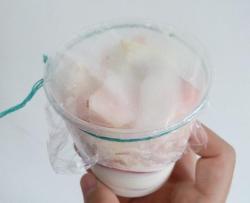 风味水果酸奶冻