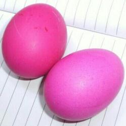 立夏红鸡蛋