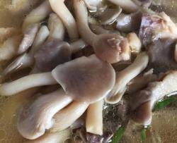 蘑菇鸡汤