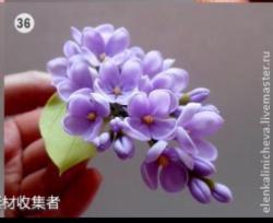 丁香花