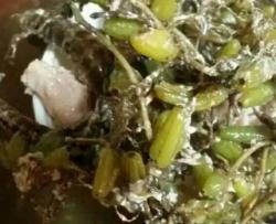 石橄榄炖海马瘦肉汤