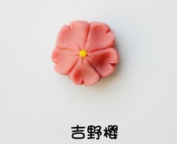 和菓子之吉野樱