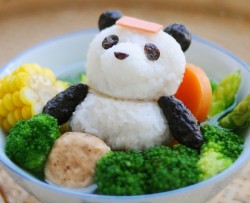 温泉熊猫饭团