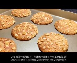 健康粗粮饼