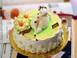 马蛋糕图片-卡通马蛋糕图片-生肖马蛋糕制作