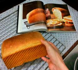 The Bread Bible 基礎三明治白麵包