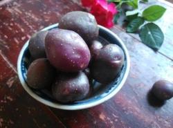 紫皮土豆泥